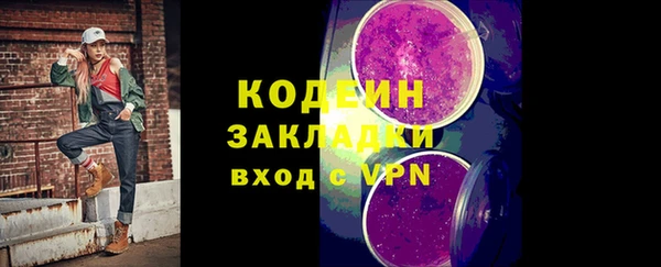 хмурый Верея