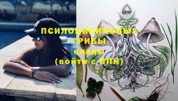 гашик Верхнеуральск