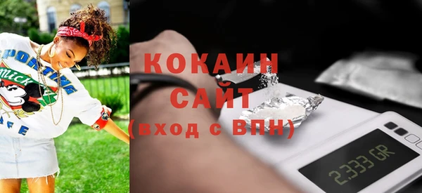 хмурый Верея