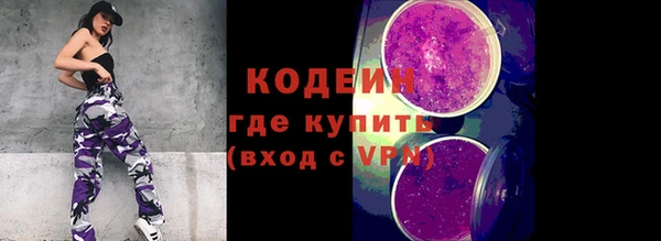 хмурый Верея
